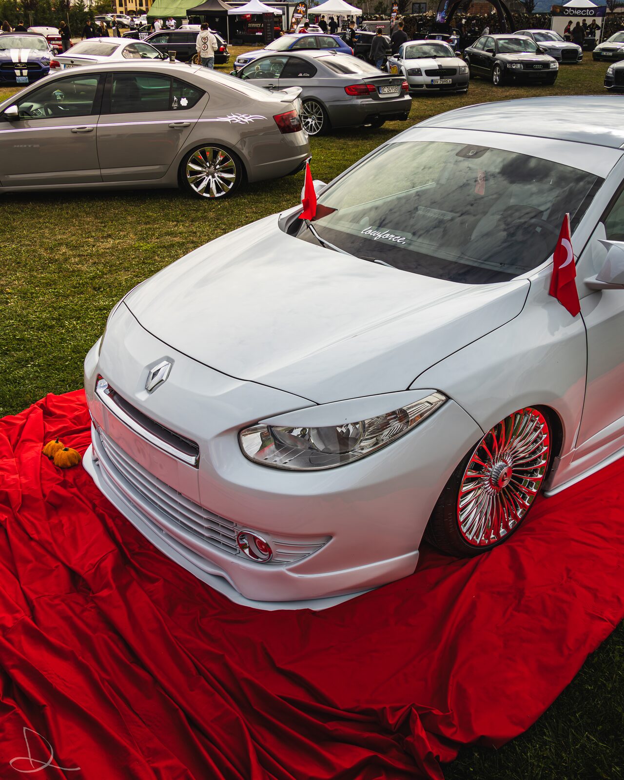 Ediția 2 — Renault Fluence, detaliu față